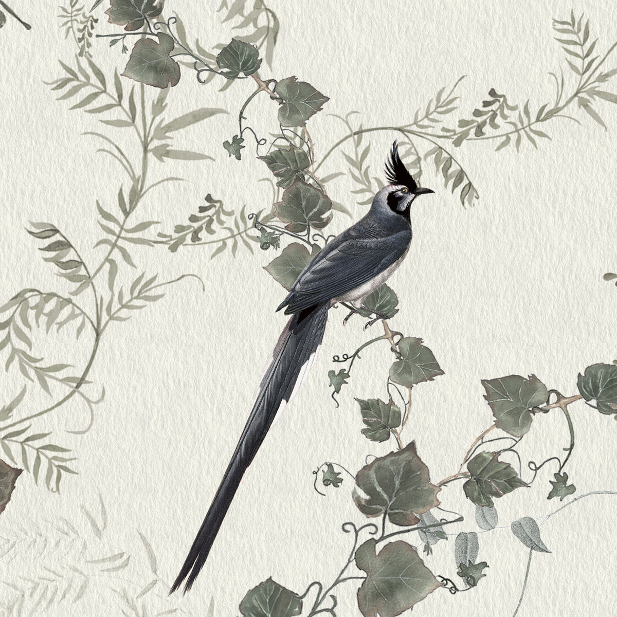 Vineyard | Botanical Foliage Wallpaper Mural
