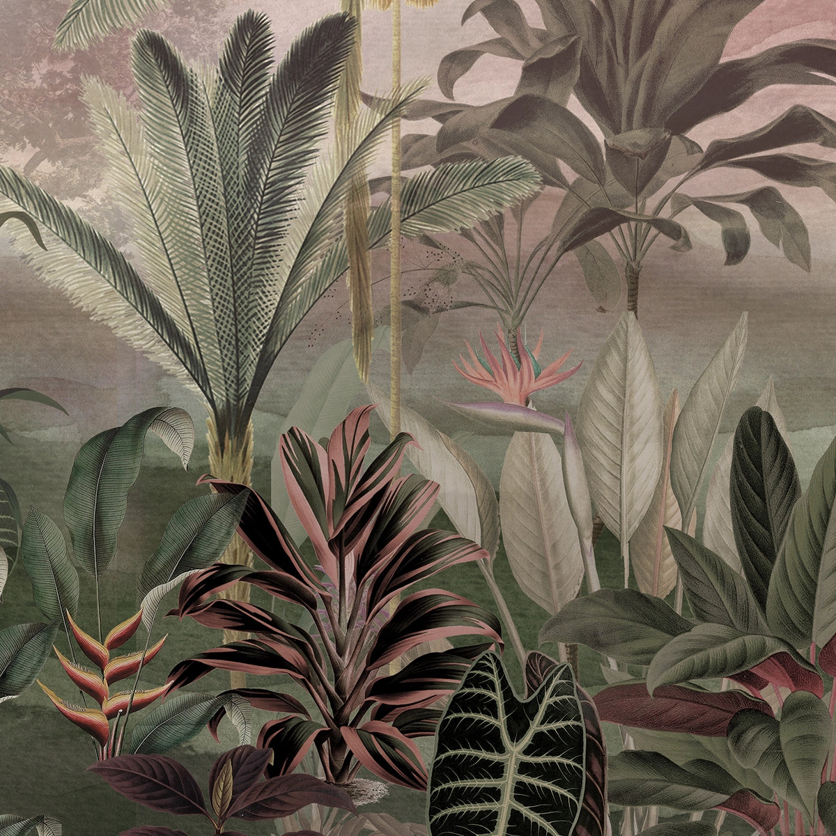 Amazon Dusk | Panoramic Tropical Jungle Mural Wallpaper