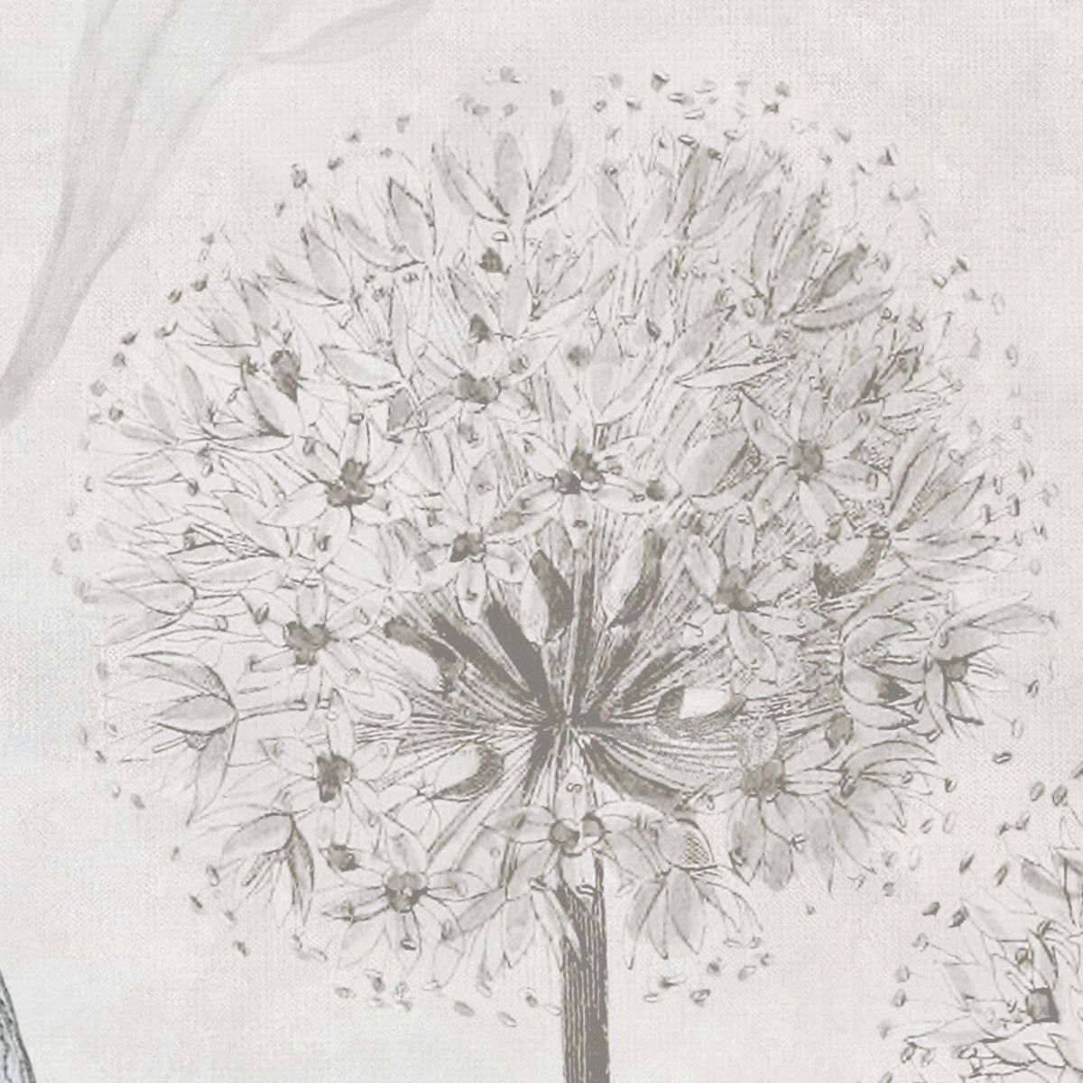 Herbarium | Bold Botanical Sketch Wall Mural