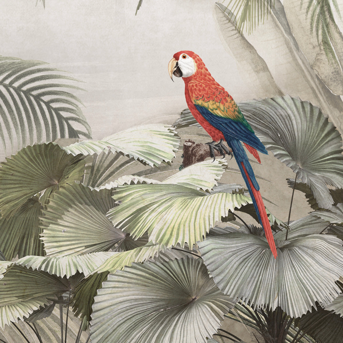Monsoon Grove | Tropical Jungle Wall Mural