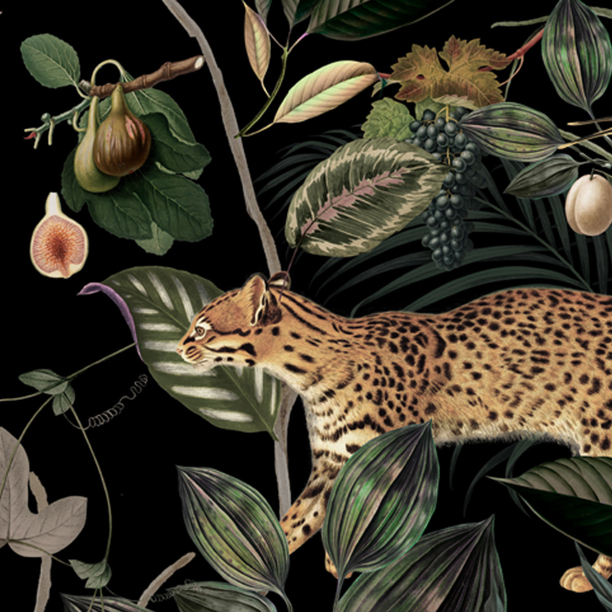 Midnight Jungle Botanical Wallpaper | Dark Tropical Wildlife Mural