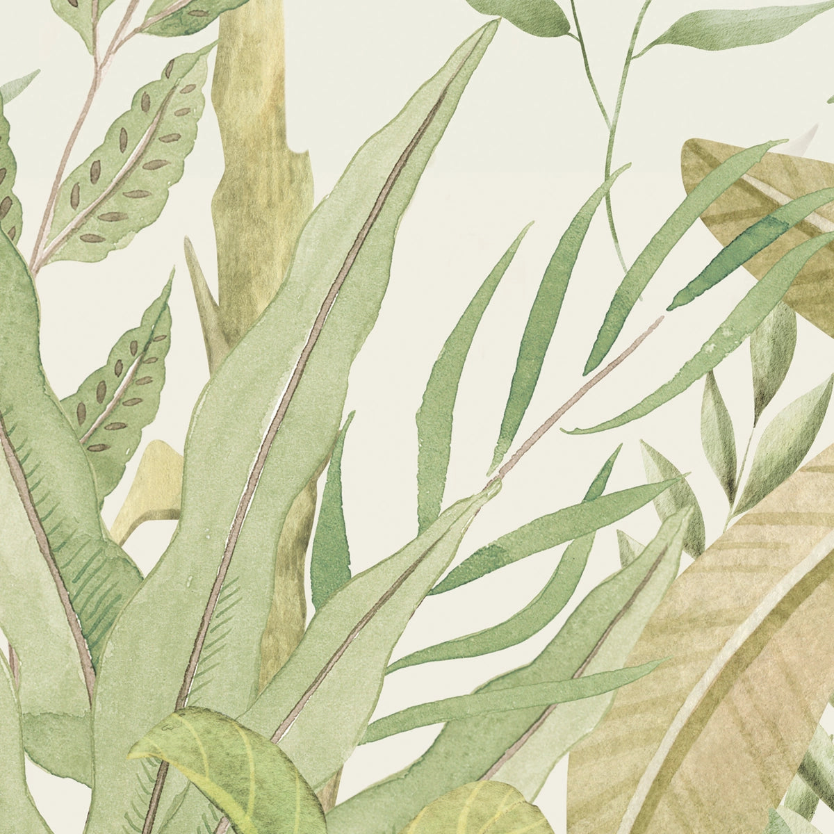 Palmwood | Tropical Jungle Botanical Wall Mural
