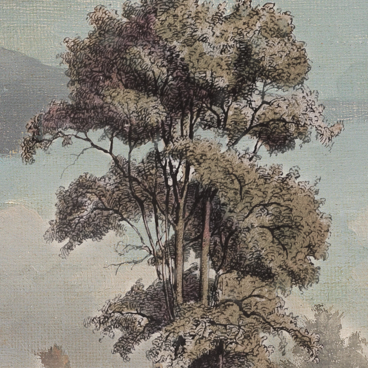 Riverside | Tropical Forest Landscape Wall Mural