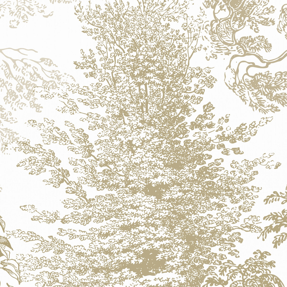 Timberland | Monochrome Forest Botanical Wall Mural