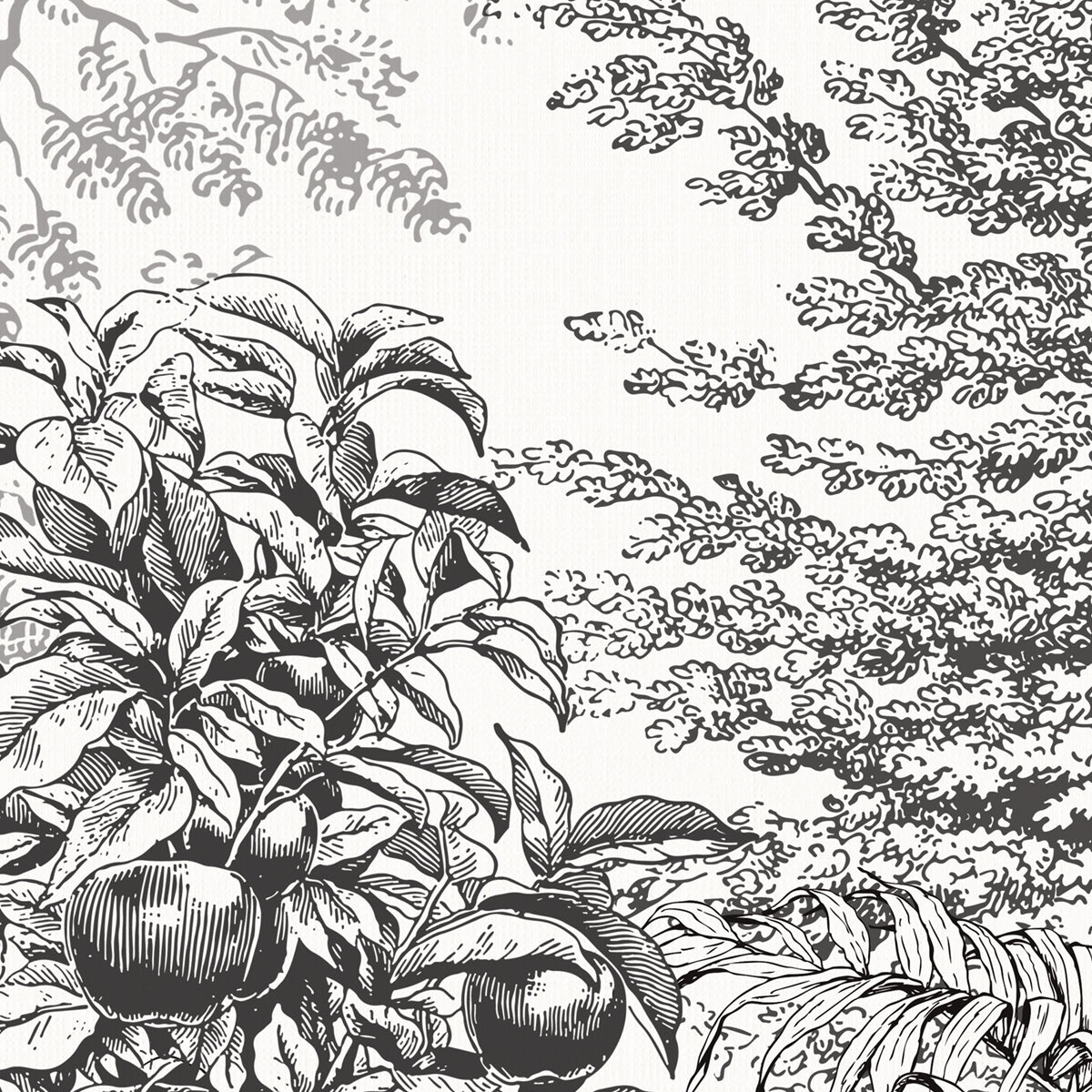 Timberland | Monochrome Forest Gray Botanical Wall Mural