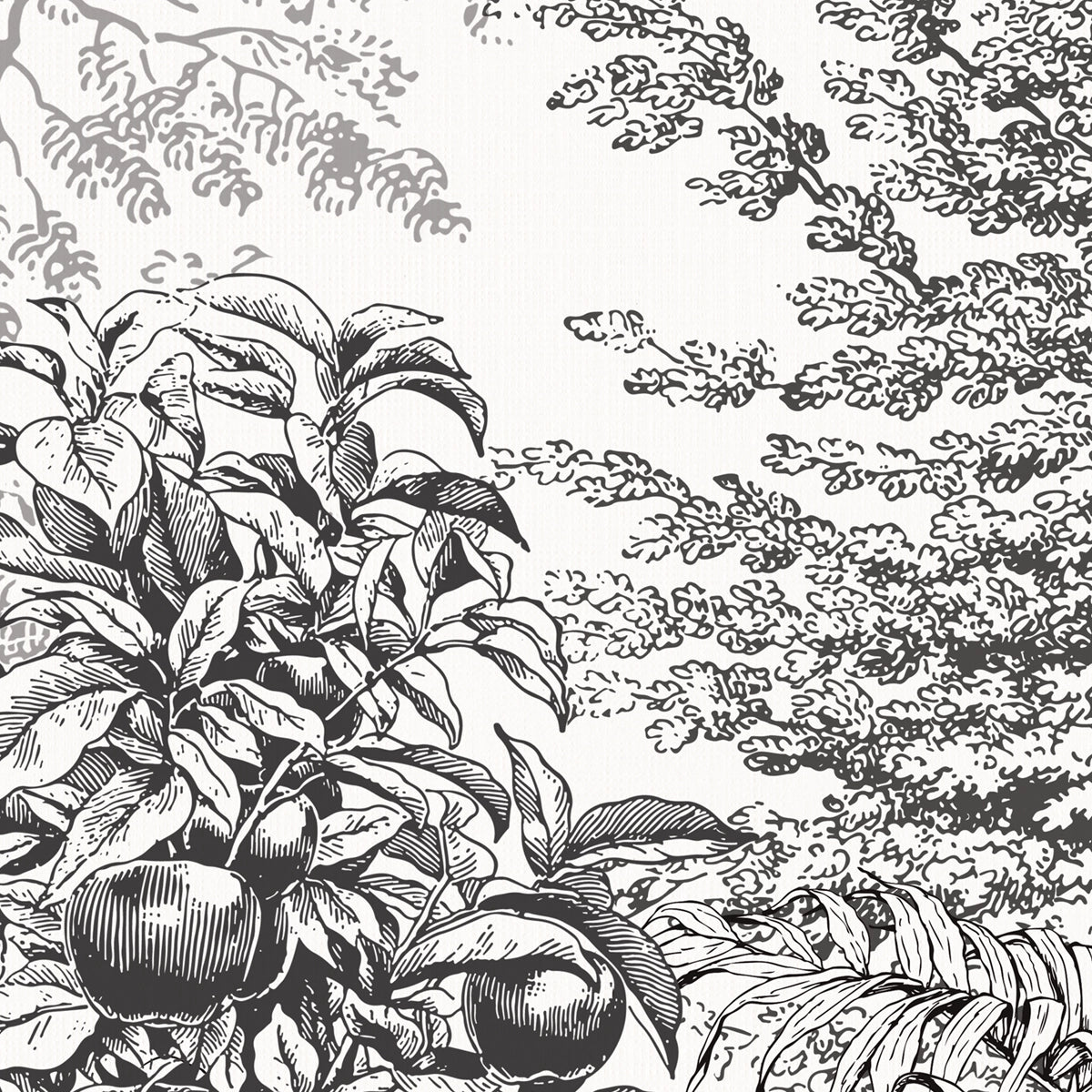 Timberland | Monochrome Forest Botanical Wall Mural